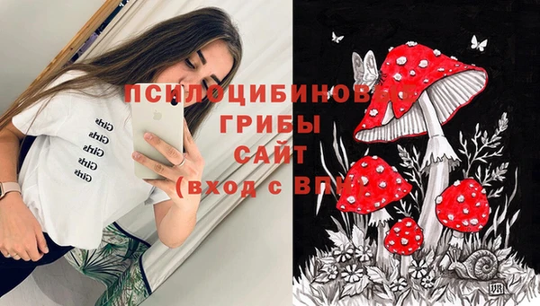 герыч Каменка