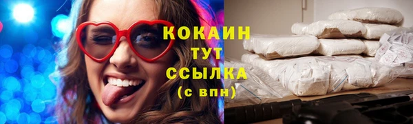 apvp Каменногорск