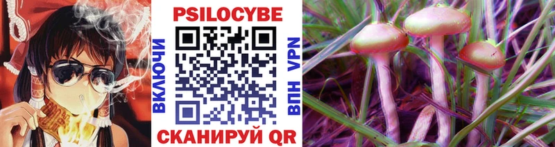 Купить закладки Дорогобуж Псилоцибиновые грибы ЛСД