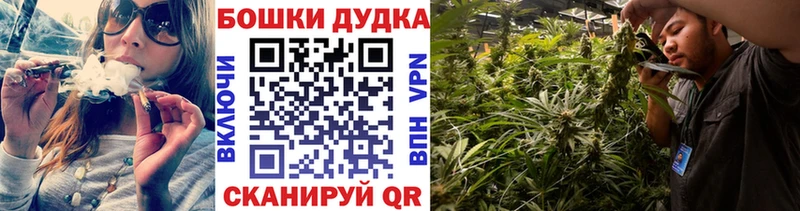 Купить  Дорогобуж  Шишки марихуана Amnesia 